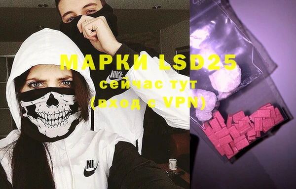 дживик Бронницы