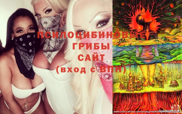 дживик Бронницы