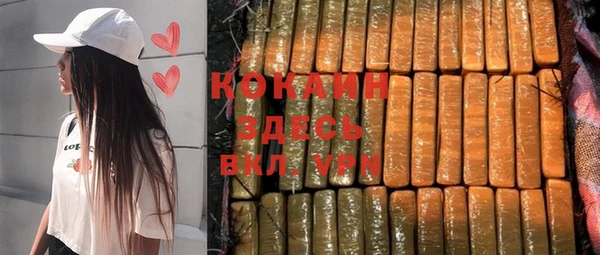 дживик Бронницы