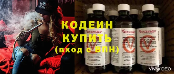 дживик Бронницы