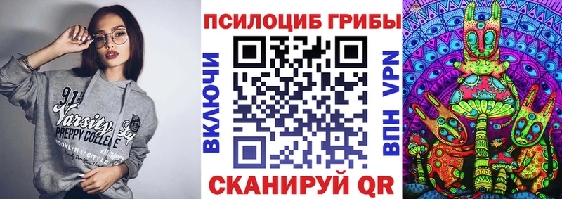 как найти наркотики  Хвалынск  Псилоцибиновые грибы мухоморы 